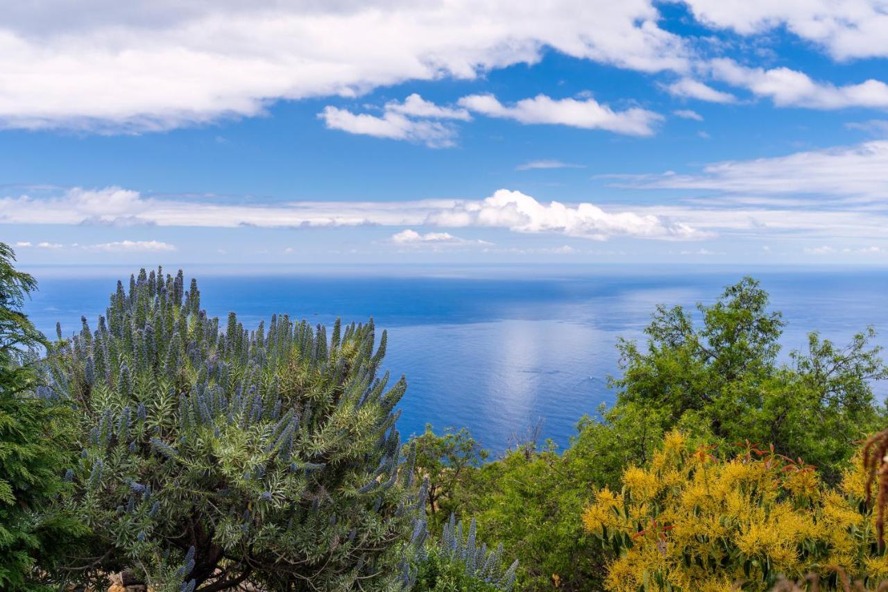 El Palmeral Tinizara Kültér fotó