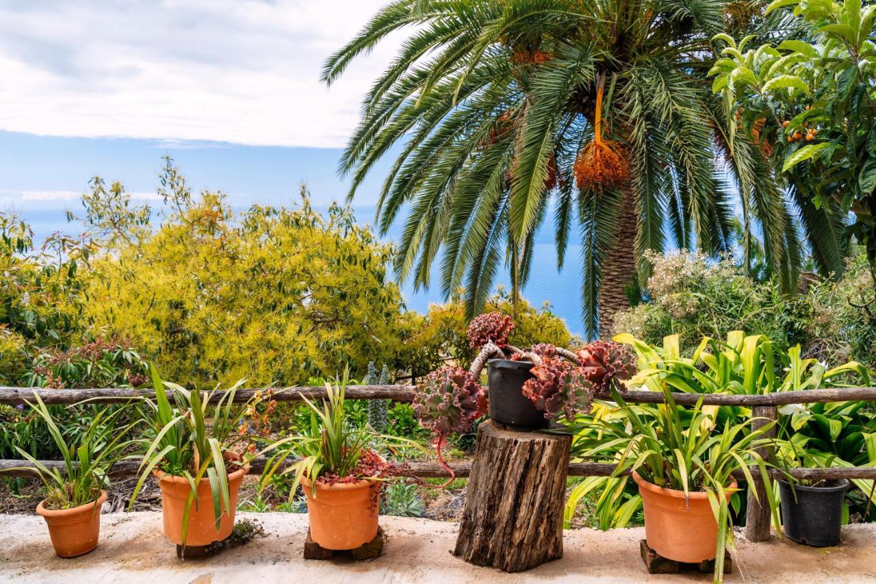 El Palmeral Tinizara Kültér fotó